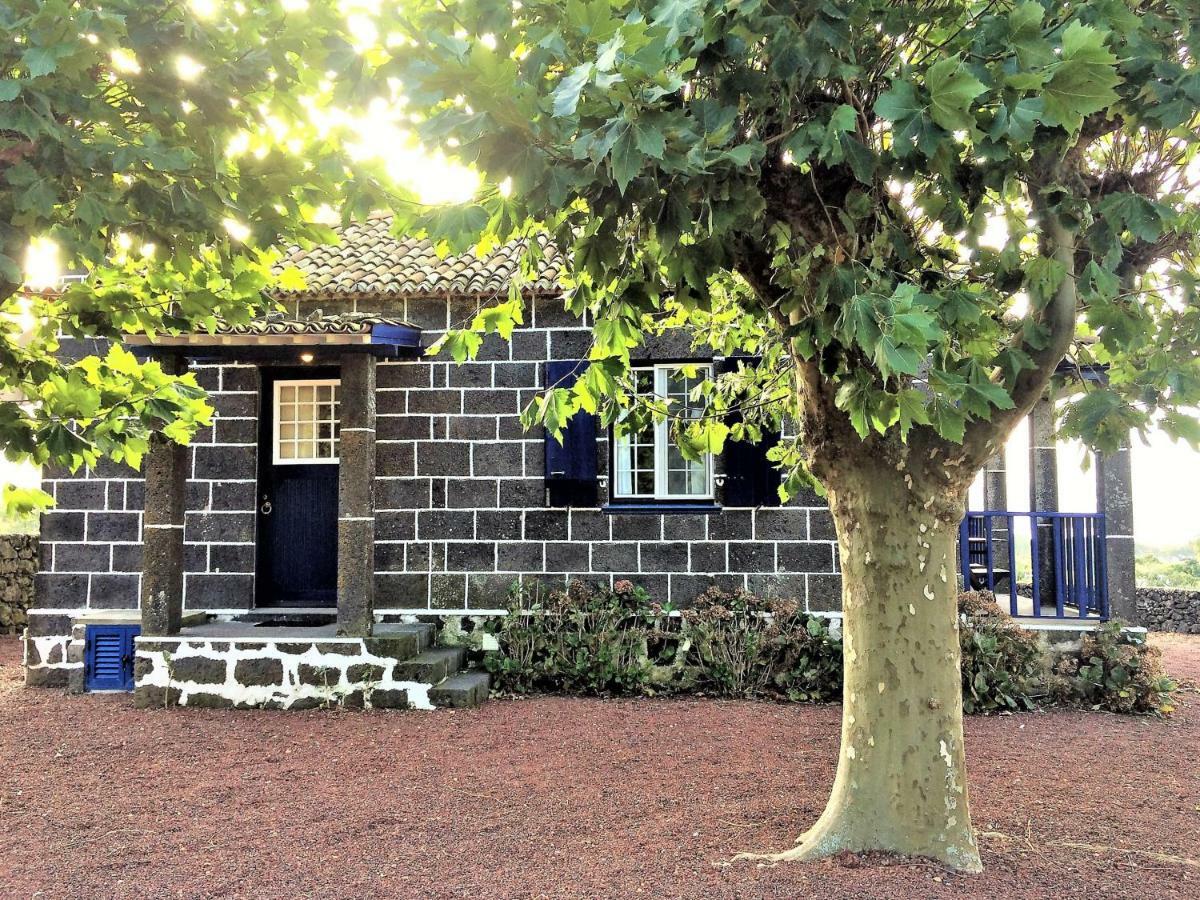 Casa Da Canada Ribeira Grande Εξωτερικό φωτογραφία